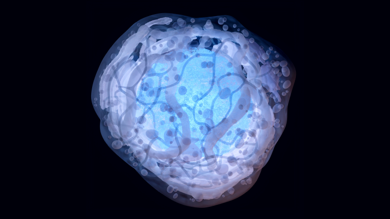 iPSC - Page Tile