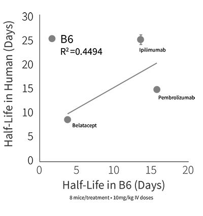 HuPK - Half-Life in B6 (Days)